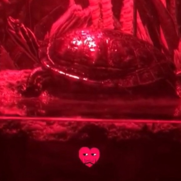 Hi ππΈ - Picture 7 of 7